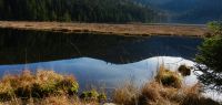 17 der arber als spiegelbild im kleinen see